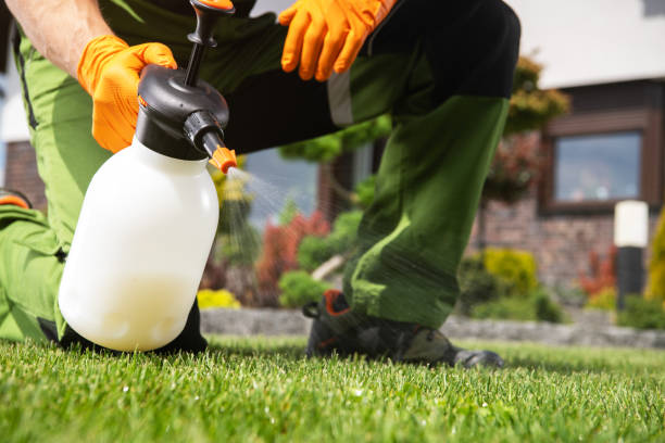 Best Flea Control Services  in Columbus, NM
