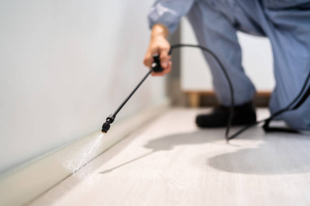 Best Pest Prevention Services  in Columbus, NM
