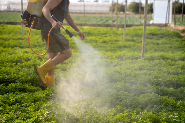 Best Wildlife Control Services  in Columbus, NM