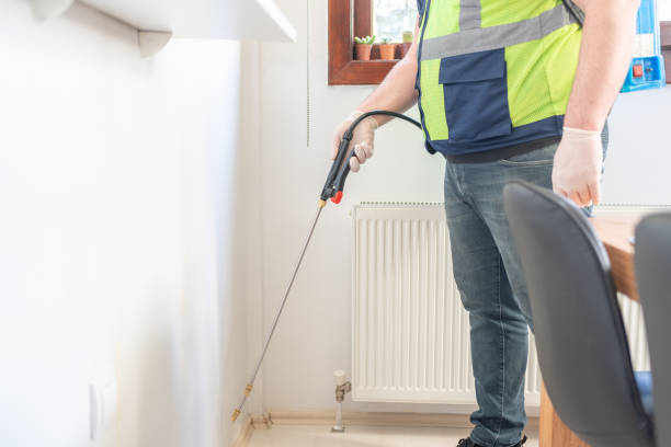Best Pest Control Near Me  in Columbus, NM