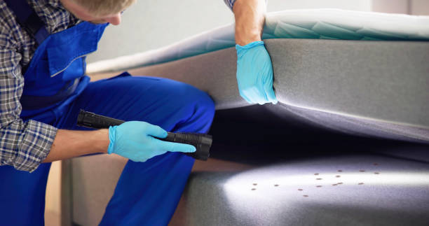 Best Exterminator Services  in Columbus, NM