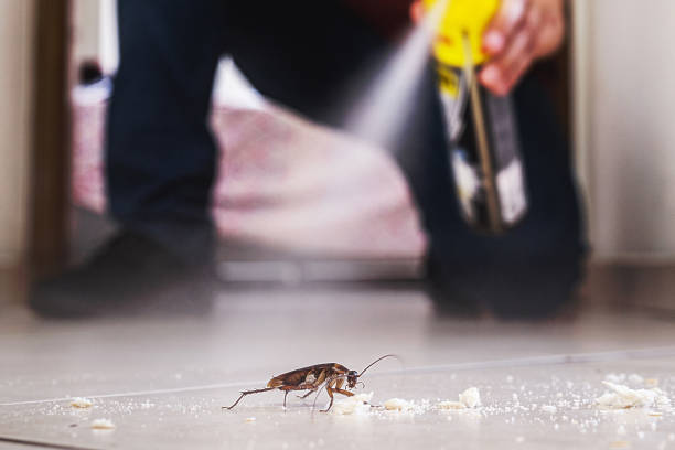 Best Emergency Pest Control  in Columbus, NM