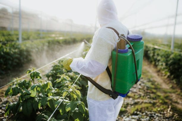 Best Cockroach Control Services  in Columbus, NM